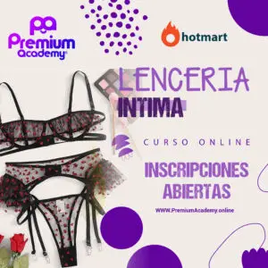 Ropa Interior Sexy de Mujer, Lenceria con Malla Bordada, 2 Piezas – Farren  Store